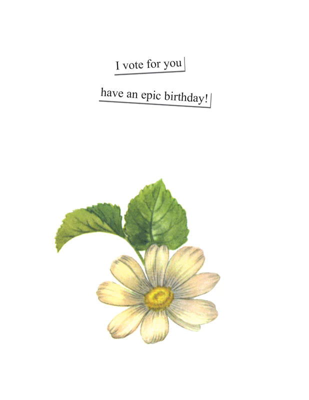 Card, Birthday, Anne Taintor, Bad Example