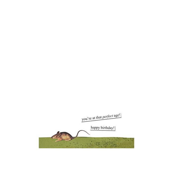 Card, Birthday, Anne Taintor, Rat's Ass