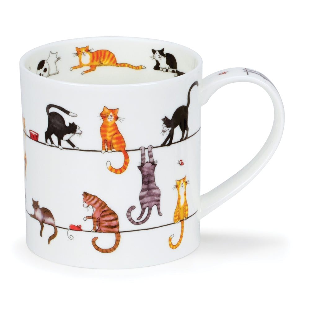 Dunoon Mug Orkney; Live Wires Cat