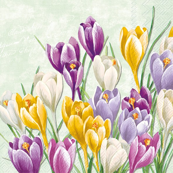 Napkin, Blooming Crocus, Luncheon