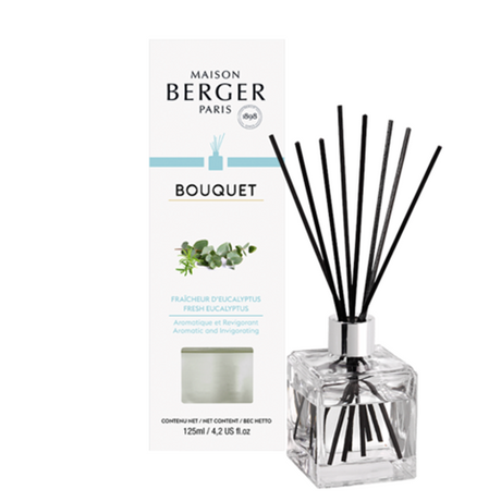 Maison Berger Paris,  Reed Diffuser: Clear Glass Cube w/Fresh Eucalyptus