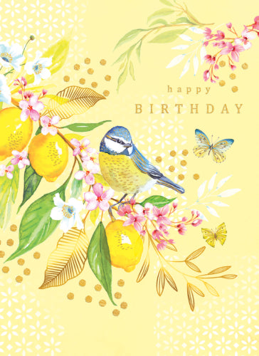 Birthday;  Happy Birthday