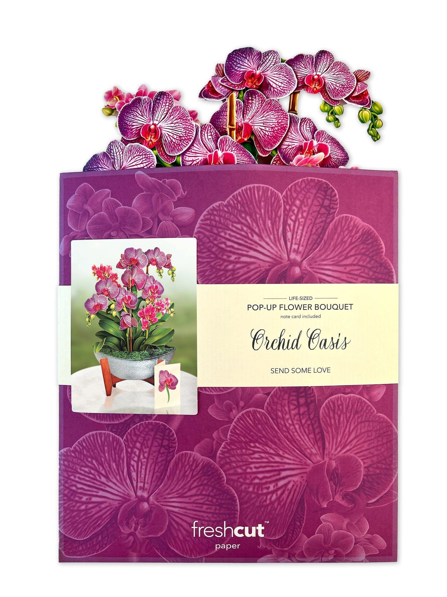 Card, All Occasion , Pop-Up Card, Orchid Oasis