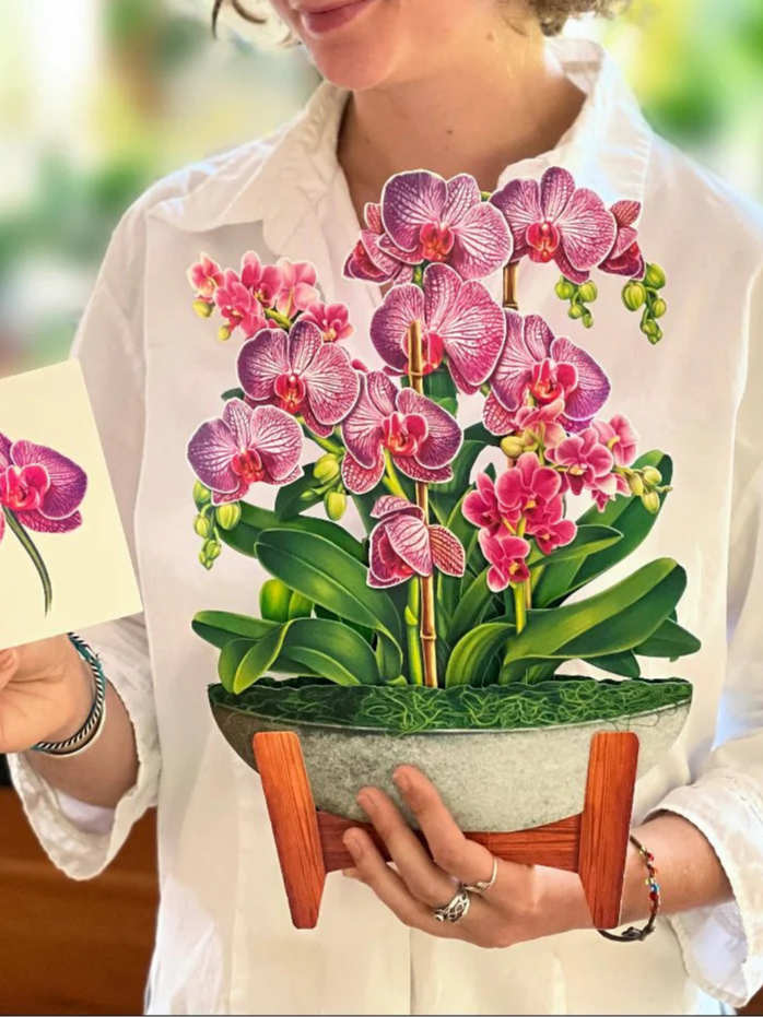 Card, All Occasion , Pop-Up Card, Orchid Oasis