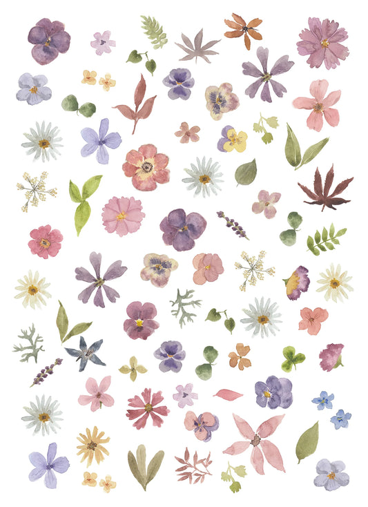 Tea Towel, Pressed Pansy