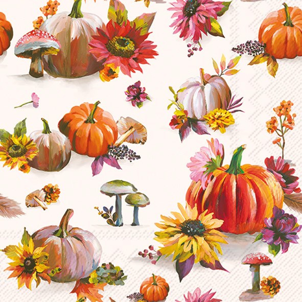 Napkin, Pumpkin, Lunch