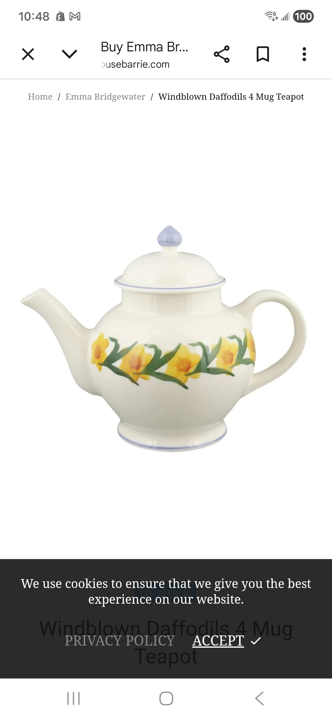Emma Bridgewater Teapot 3 Mug - Windblown Daffodils