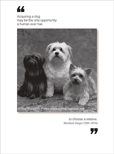 Card, All Occasion; Acquiring a dog..