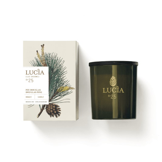 Lucia Douglas Pine Candle 20 hr