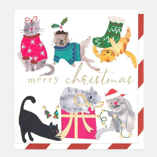 Card Christmas; Merry Christmas Cats