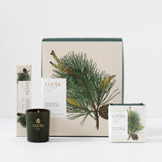 Lucia Douglas Pine Gift Set