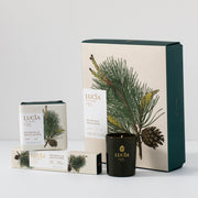 Lucia Douglas Pine Gift Set