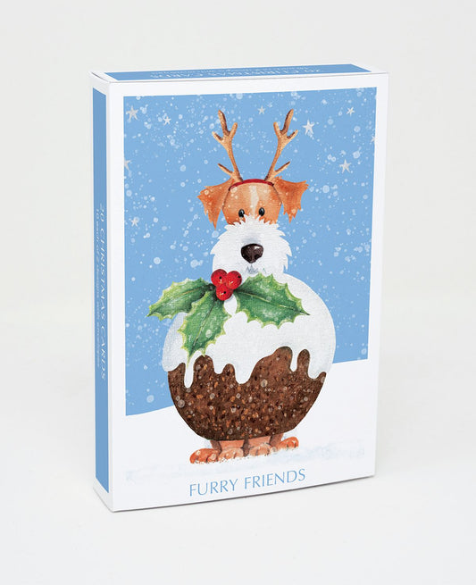 Card Boxed, Christmas; Furry Friends