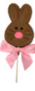 Hip Hop Bunny Pop