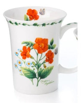 Mug;  Campsis Tagliabuana  by McIntosh