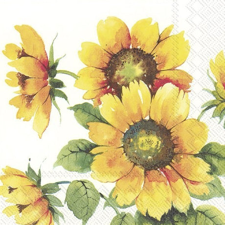 Napkin, Colourful Sunflowers, Luncheon