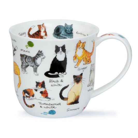 Dunoon Mug Cumbrae; Cat Breeds