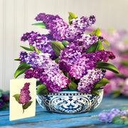 Card, All Occasion , Pop-Up Card, Garden Lilacs