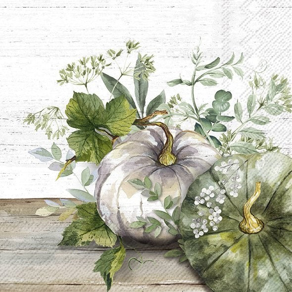 Napkin, Green & White Pumpkins,  Luncheon