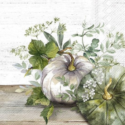 Napkin, Green & White Pumpkins,  Luncheon