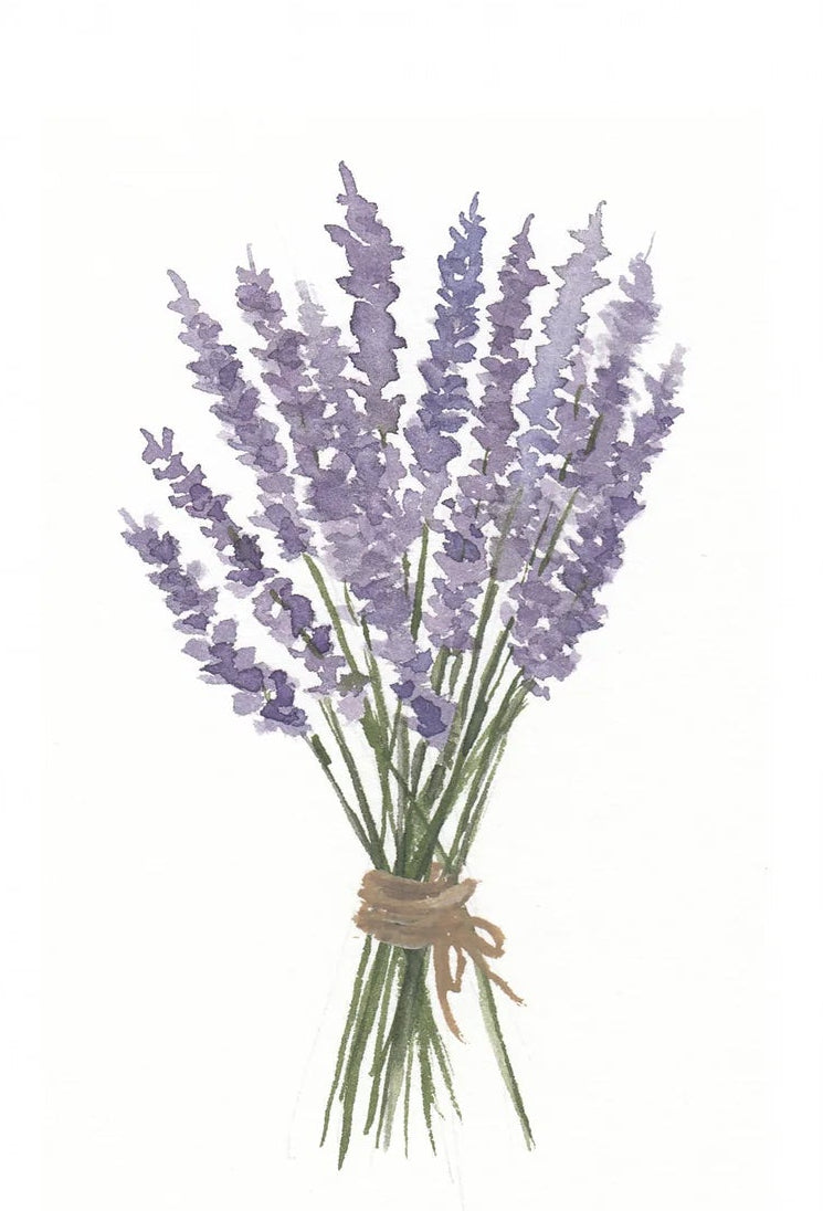 Card, All Occasion, Blank,  Lavender