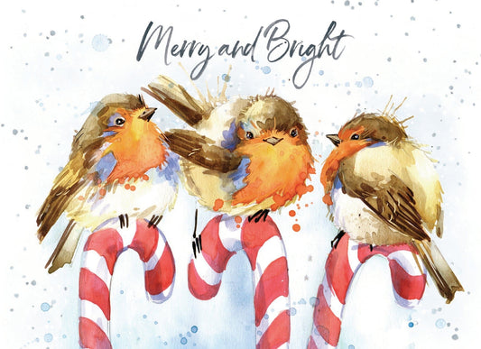 Card Christmas; Merry and Bright