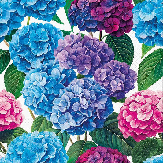 Napkin,  Paper, Hydrangea Bloom, Lunch