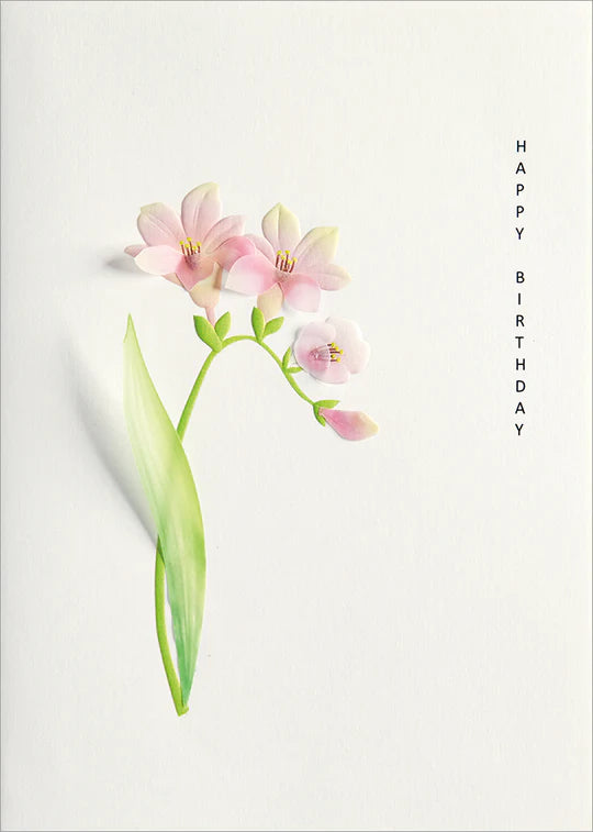 Card, Birthday;  Happy Birthday