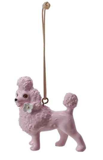 Poodle, Pink