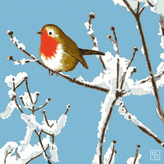 Box Card Christmas; Robin Red Breast