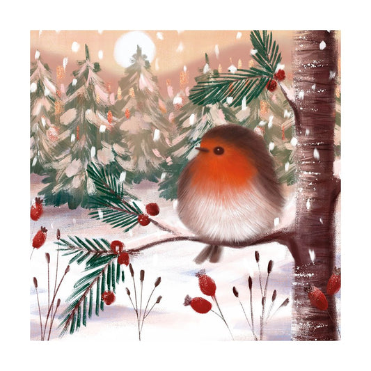 Card Boxed, Christmas; Fluffy Robin