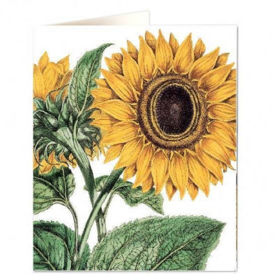 Card, All Occasion, Sunflower