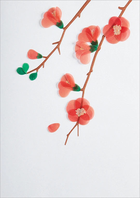 Card, All Occasion, Blank, Vellum Quince Branches